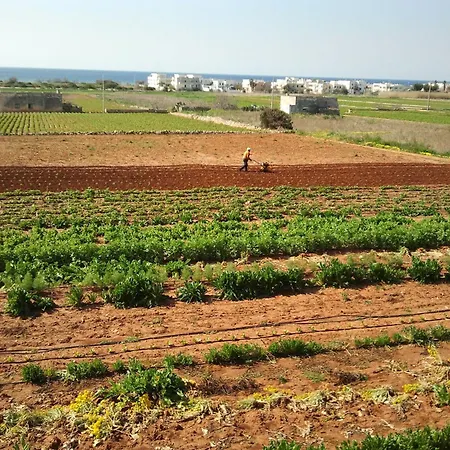La Collinetta 3*
